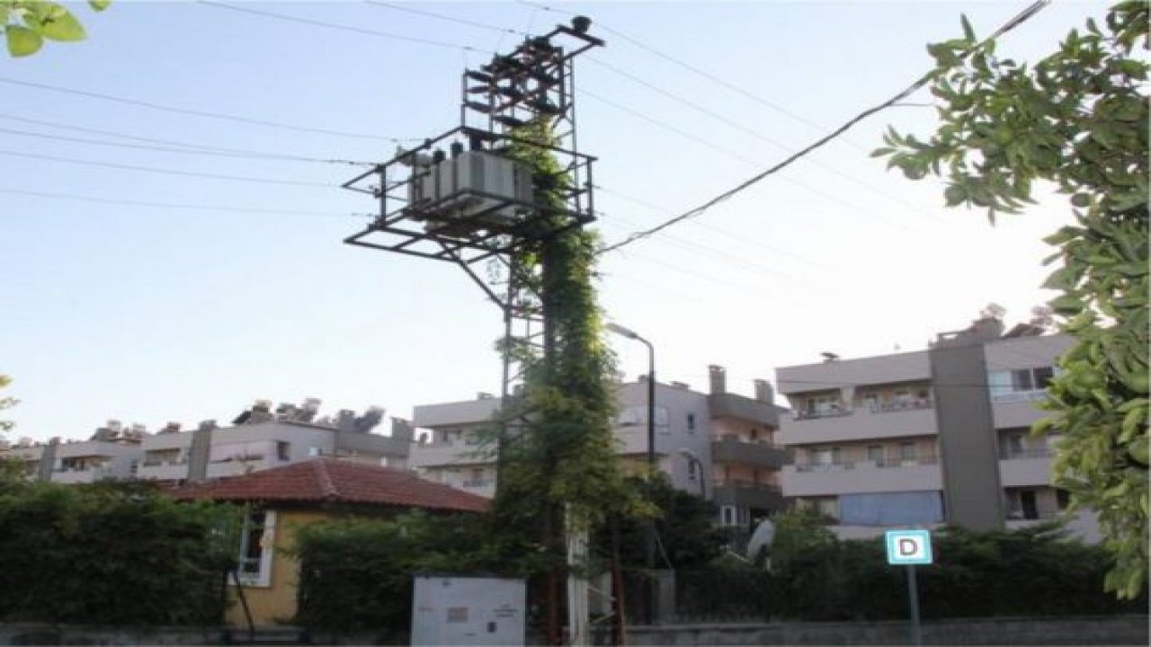 Sarmaşık tehlike saçıyor