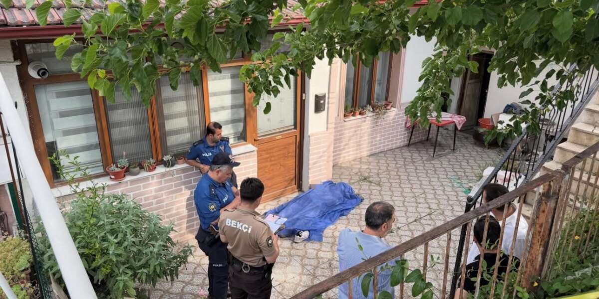 Dut Toplamak İçin Ağaç Silkeledi, Bahçesinde Ölü Bulundu