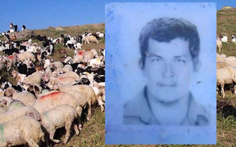 Muğla’da 41 Yaşındaki Çoban Kayıp: Keçi ve Koyunları Bulundu, Kendisinden Haber Alınamıyor