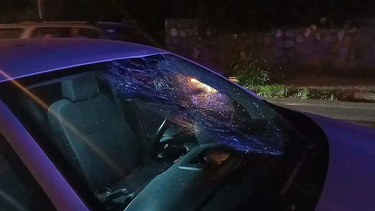Muğla'da Dikkat Çeken Olay, Yolda Giden Otomobilin Önüne Atladığı İddia Edildi