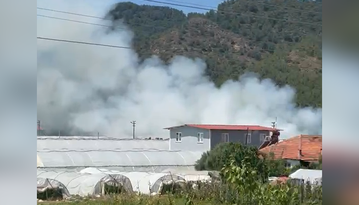 Ortaca'da Korkutan Yangın Kontrol Altına Alındı
