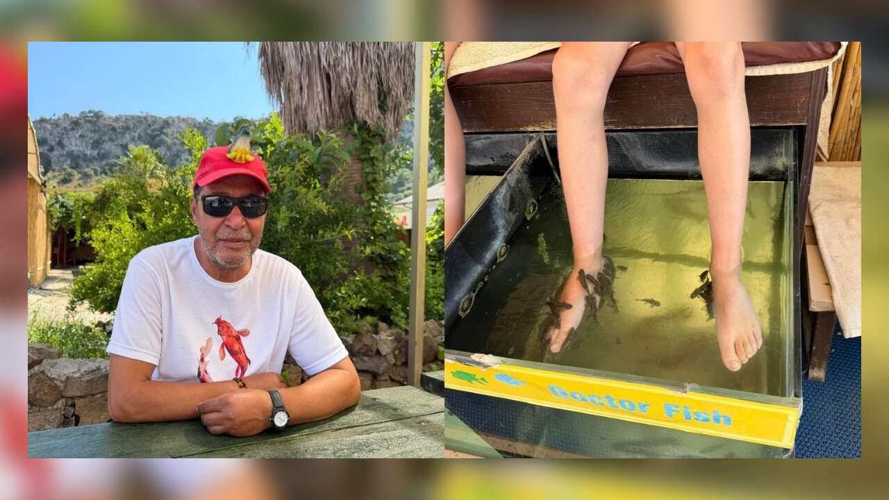 Muğla’nın Şifalı "Doktor Balıkları" Dalyan’da Şifa Dağıtıyor