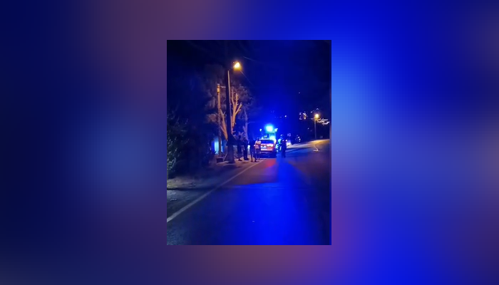 Muğla'da Kontrolden Çıkan Otomobil Restoran Bahçesine Daldı