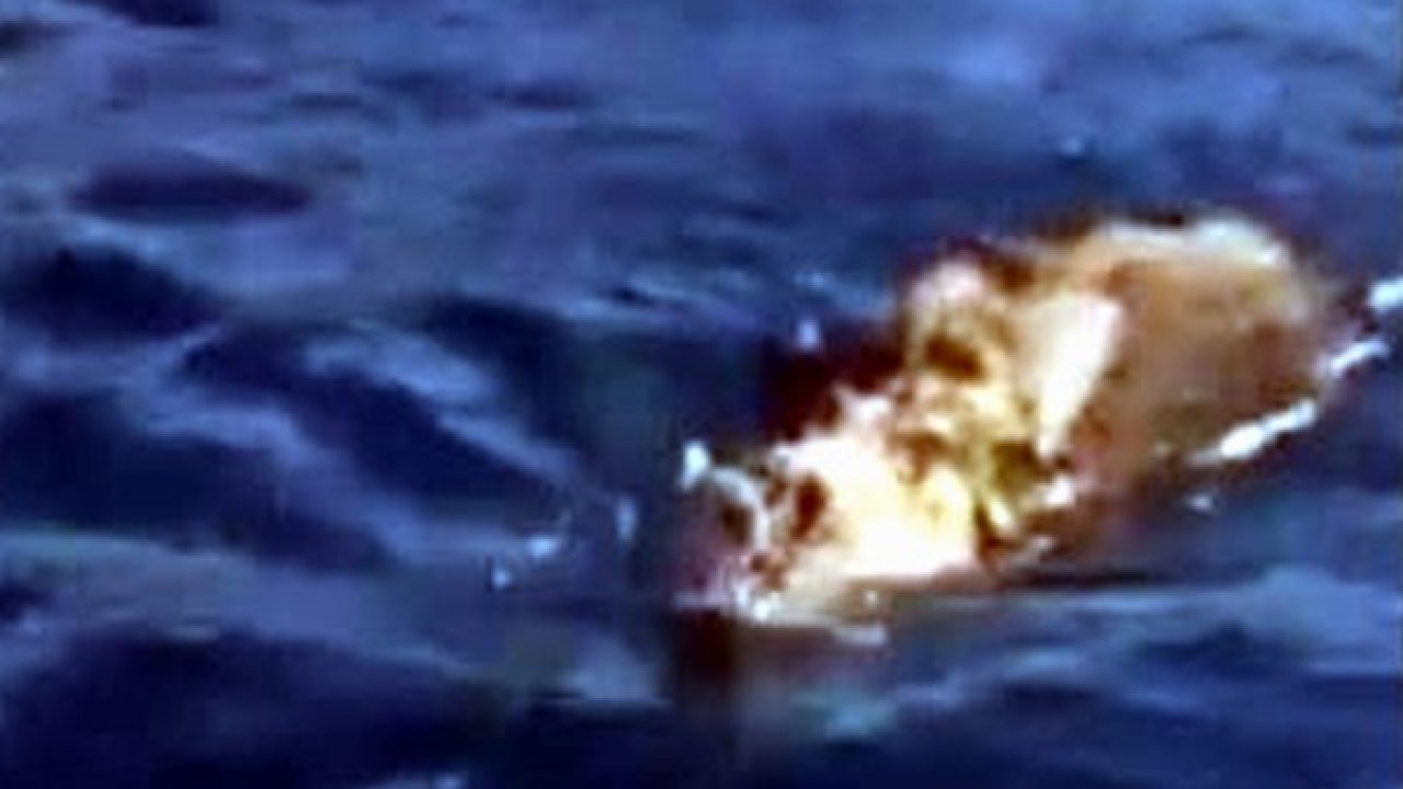 Deniz ortasında yüzen domuz gören balıkçılar şok oldu