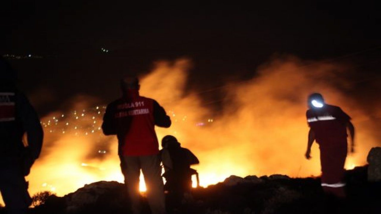 30 hektarlık alan kül oldu