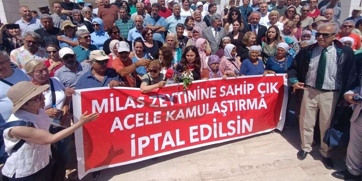 Akbelen Davasında Esra Işık İçin Yeni Karar: Duruşma 6 Temmuz'a Ertelendi