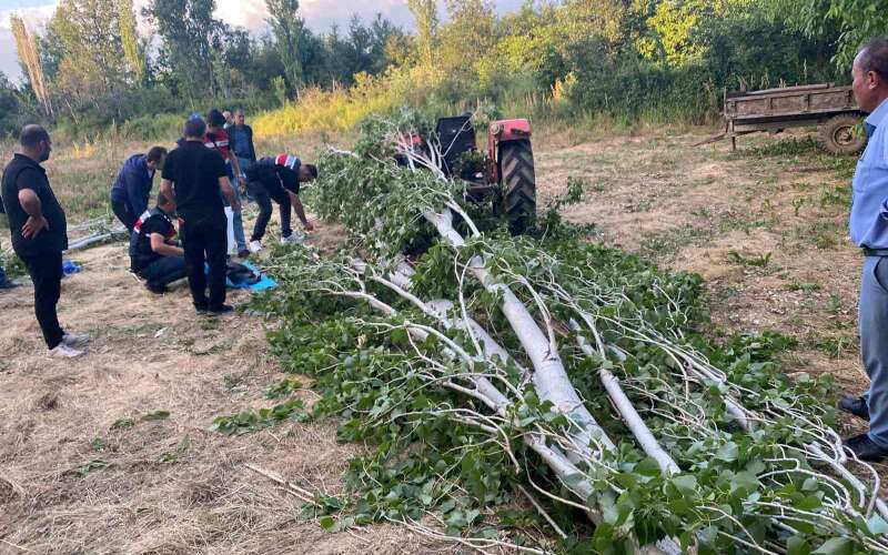 Kestiği Ağacın Altında Kaldı Hayatını Kaybetti