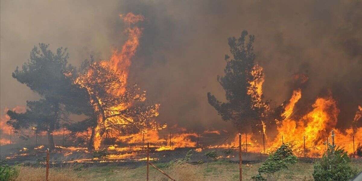Meteoroloji’den Muğla İçin Kritik Uyarı: Orman Yangını Riski Alarm Seviyesinde