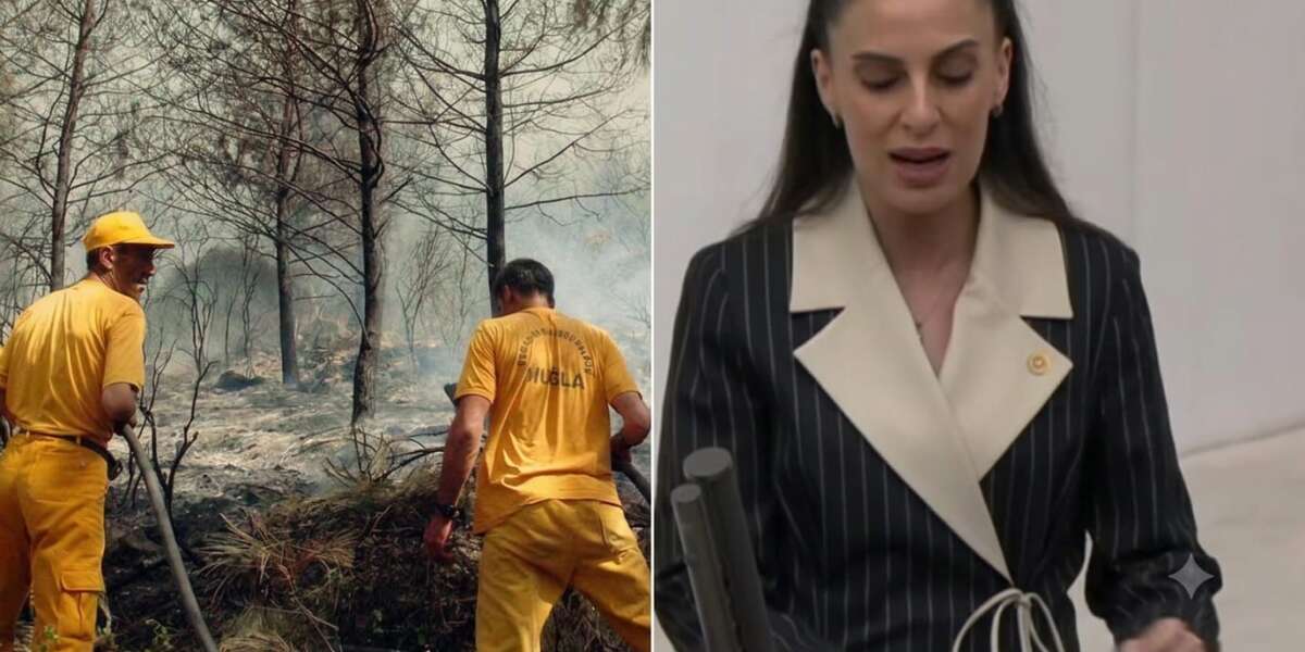CHP Muğla Milletvekili Gizem Özcan’dan Orman İşçilerine Kadro Talebi