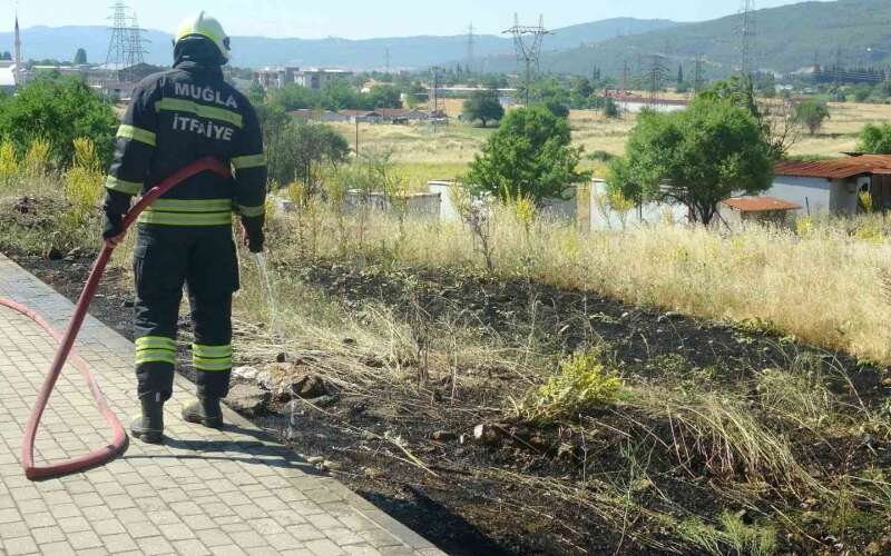 Muğla'da Atılan Bir Sigara İzmariti Yangın Çıkardı