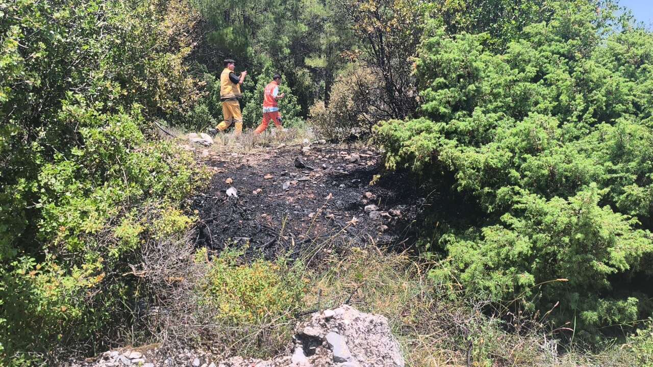 Muğla'da Orman Yangını Ekiplerin Hızlı Müdahalesi ile Söndürüldü