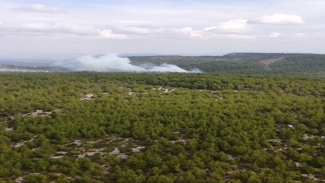 Yangına 42 araçla anında müdahale ettiler