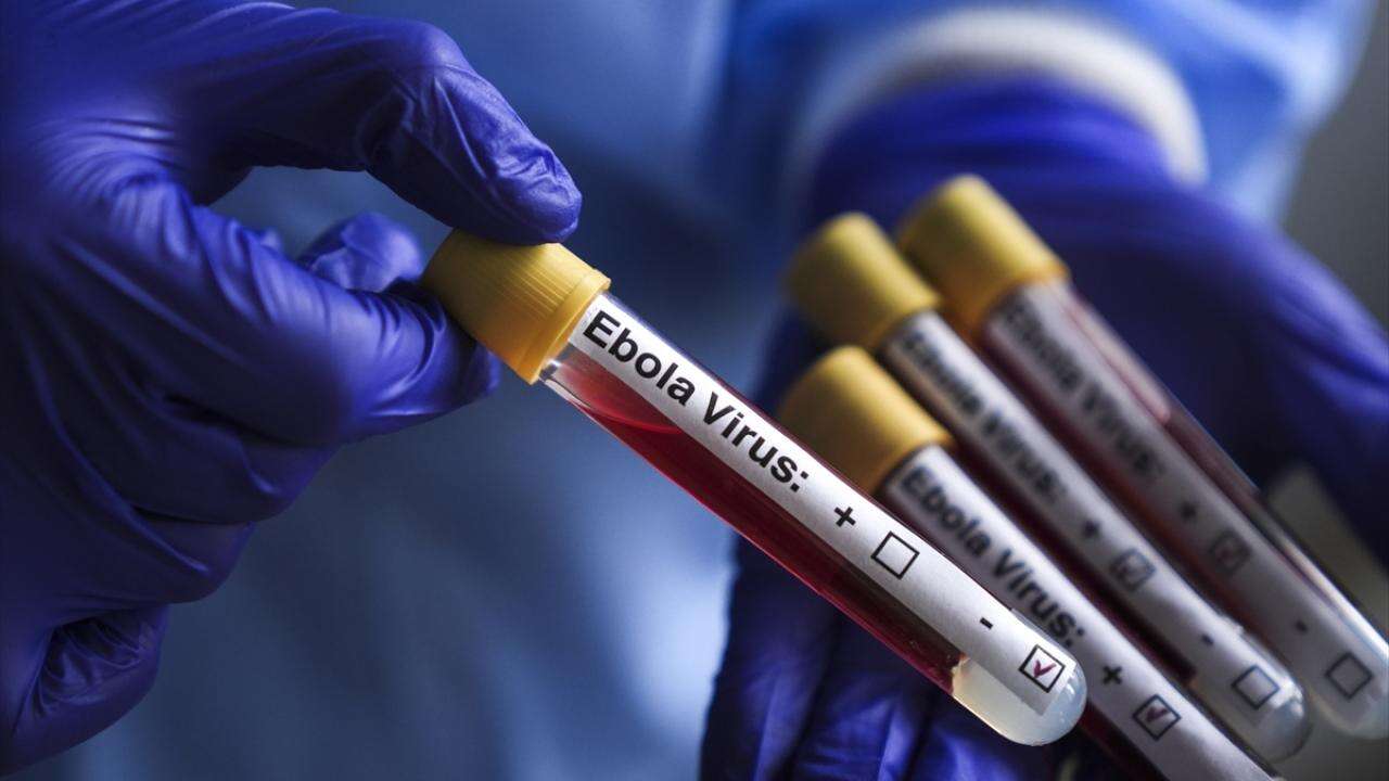 Ebola Alarmı Büyüyor: Kongo Demokratik Cumhuriyeti'nde Vaka Sayısı 1155'e Çıktı