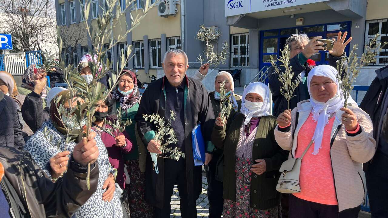 Bodrum'da Tarihi Karar! Danıştay RES Projesine Geçit Vermedi