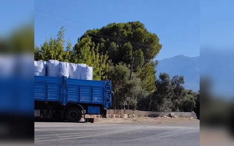 Muğla’da Yolun Karşısına Geçmeye Çalışırken Hayatını Kaybetti
