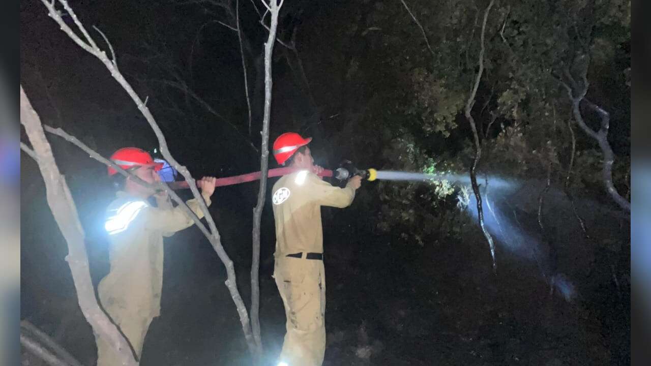 Dalaman'da Orman Yangını Çıktı
