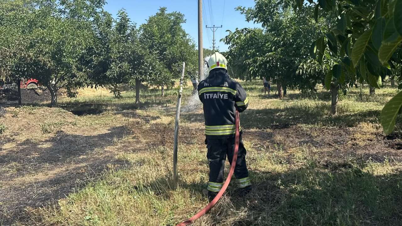 Menteşe’de Ot Yangını: 1,5 Dönümlük Alan Kısmen Zarar Gördü
