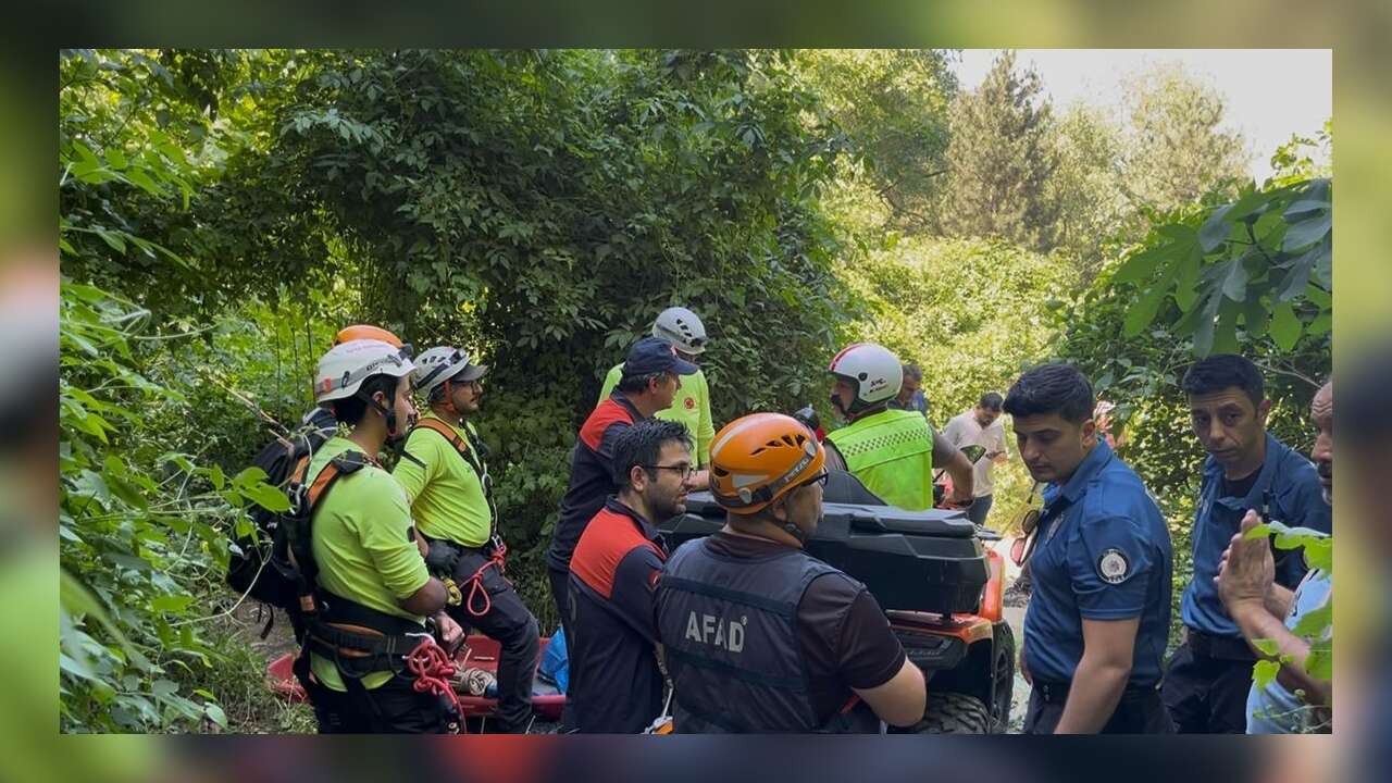 Ihlamur Toplamaya Gitti, Uçurumdan Düşerek Hayatını Kaybetti
