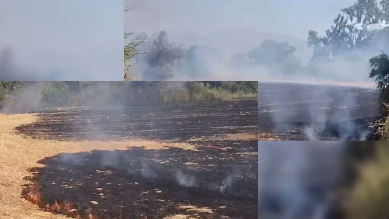 Muğla’da Anız Yangını Paniğe Neden Oldu: Hızlı Müdahale Felaketi Önledi