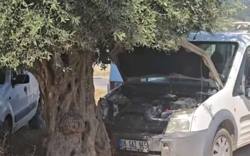 Muğla’da Korkutan Kaza: Sürücü Aniden Rahatsızlandı, Araç Kontrolden Çıktı