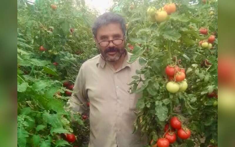 Muğla'da Traktör Kazası, Dönüş Manevrası Sırasında Düştü, Hayatını Kaybetti