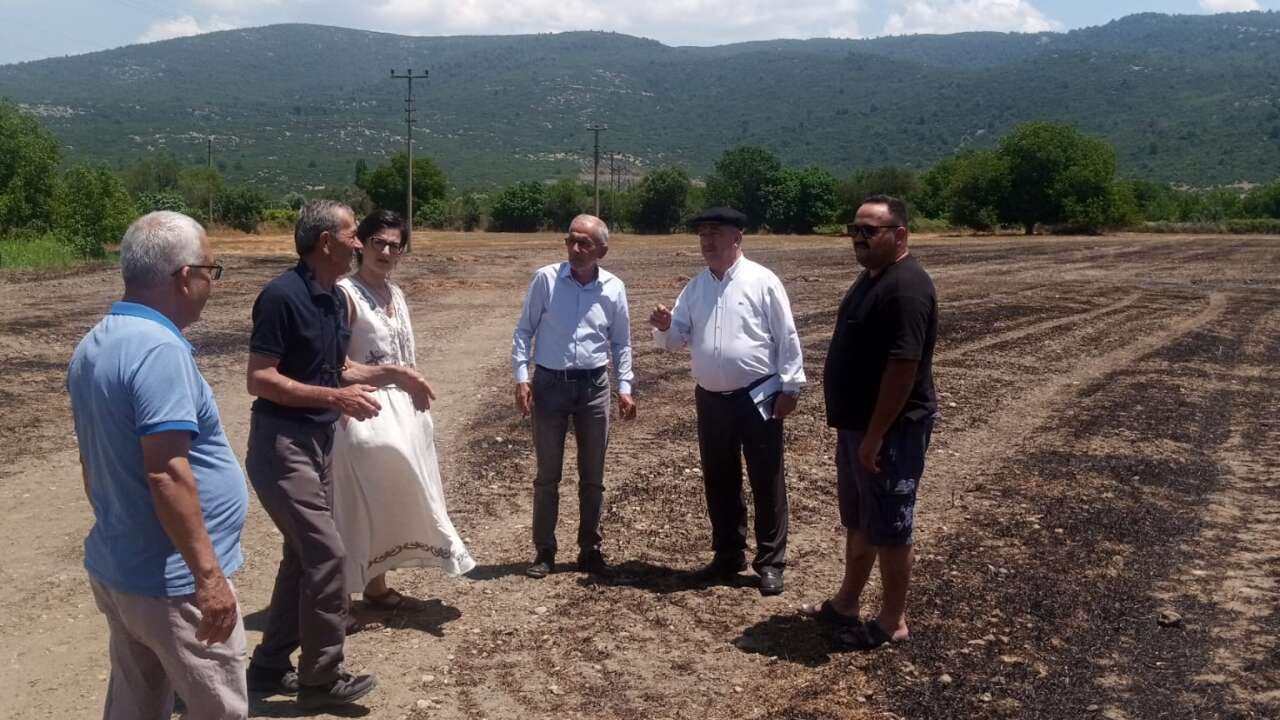 Yeşilyurt'taki Anız Yangınında 14 Ton Saman Kül Oldu: Menteşe Ziraat Odası Bölgede İnceleme Yaptı