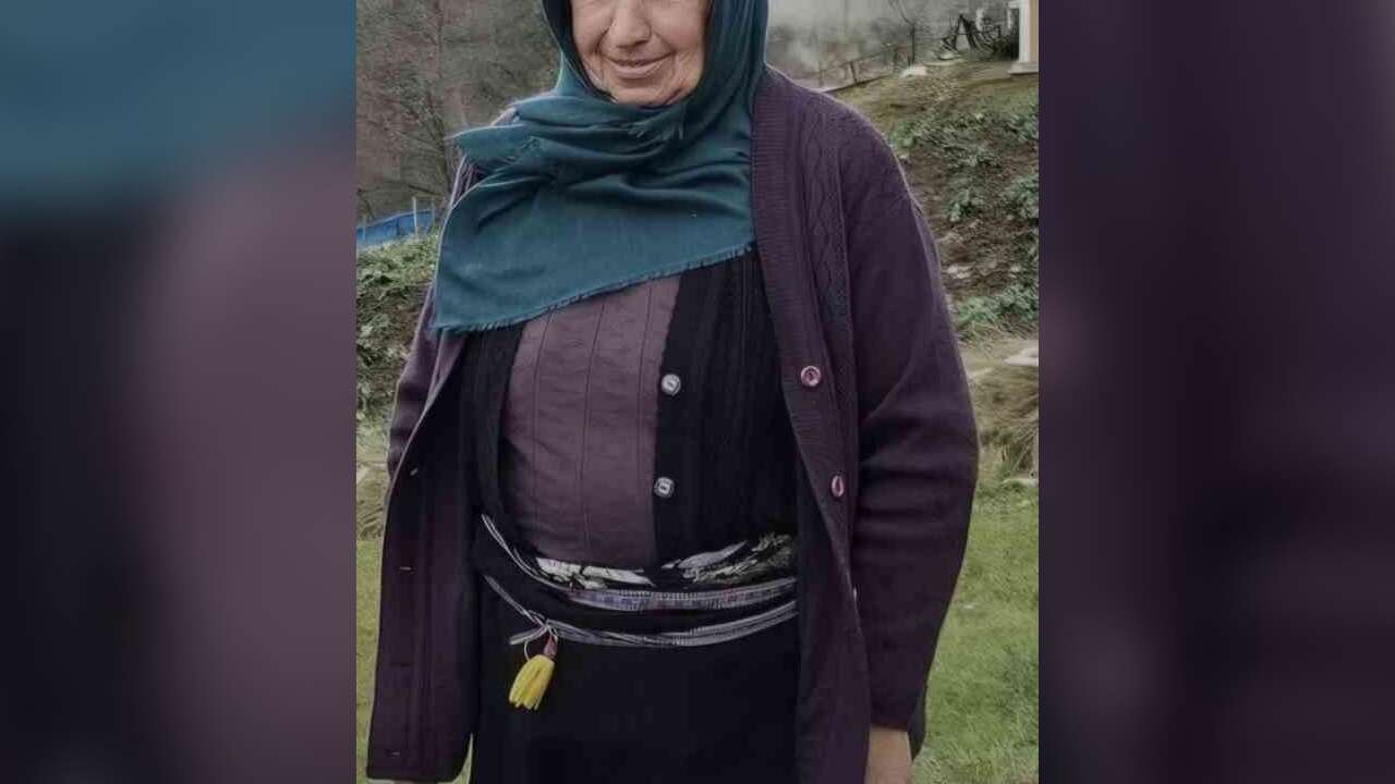 Akrabalar Arasında Ot Biçme Kavgası: 1 Ölü, 2 Yaralı
