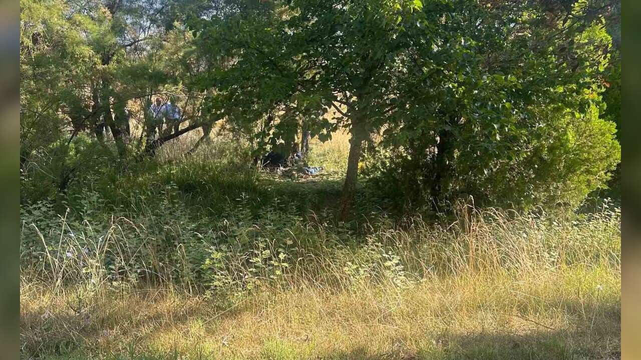 Şüpheli Öl*m: Ağaçlık Alanda Erkek C*sedi Bulundu