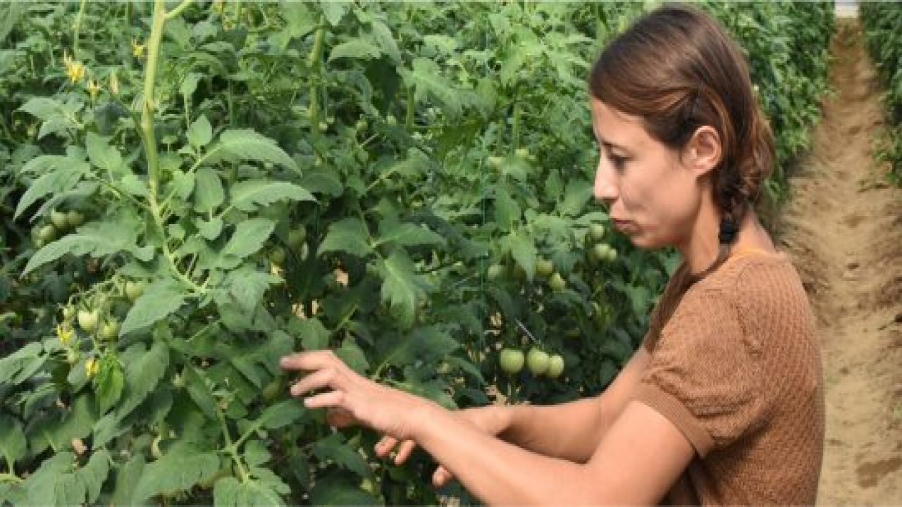 Örtü Altı Yetiştiriciliğinde Genç Çiftçi Farkı