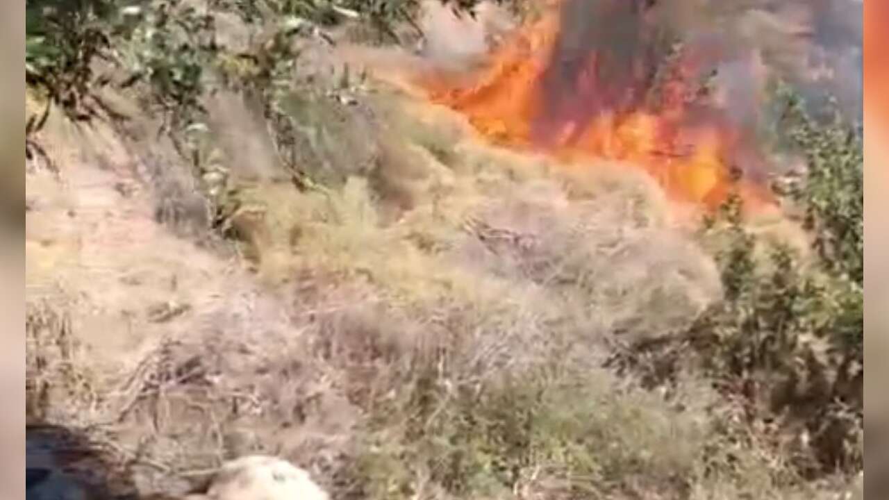 Bodrum'da Alevlerin Arasından Mucize Kurtuluş, Kayıp İhbarına Giden Gönüllüler Alevlerin Arasından Yaşlı Kadını Kurtardı