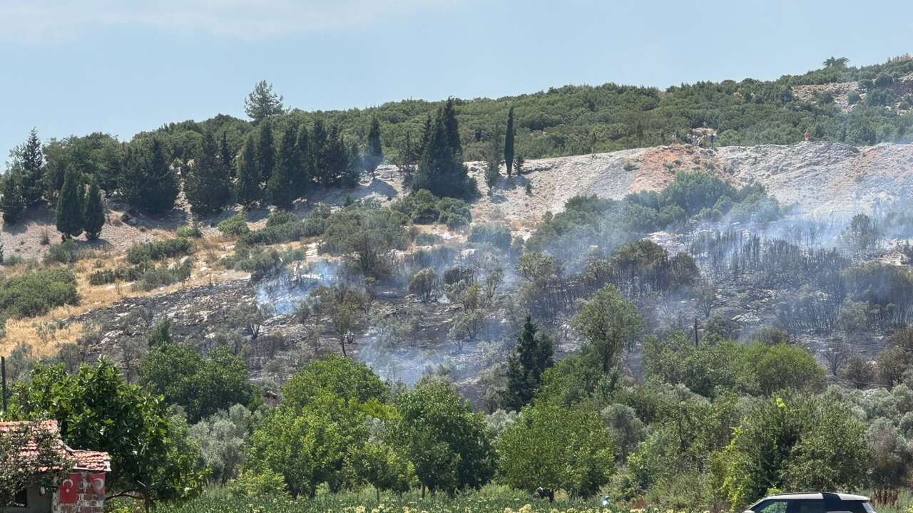 Menteşe’de Çıkan Yangın Kontrol Altına Alındı