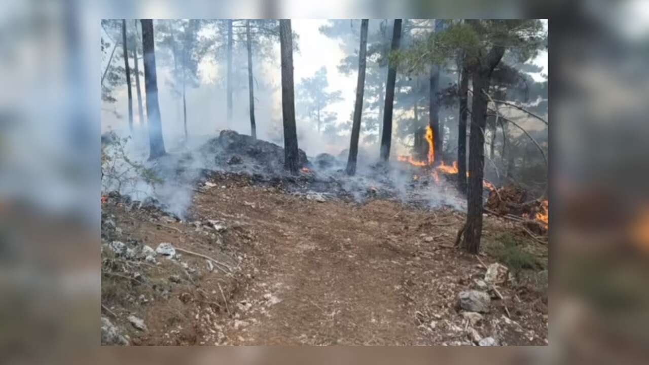 Muğla’da Alevler Yükseldi: Orman Yangınına Havadan ve Karadan Yoğun Müdahale