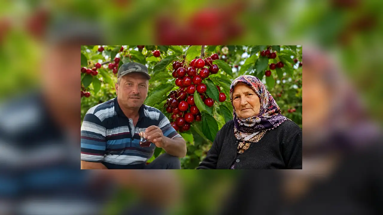 Kiraz Yediler, Karı Koca 9 Gün Arayla Hayatını Kaybetti