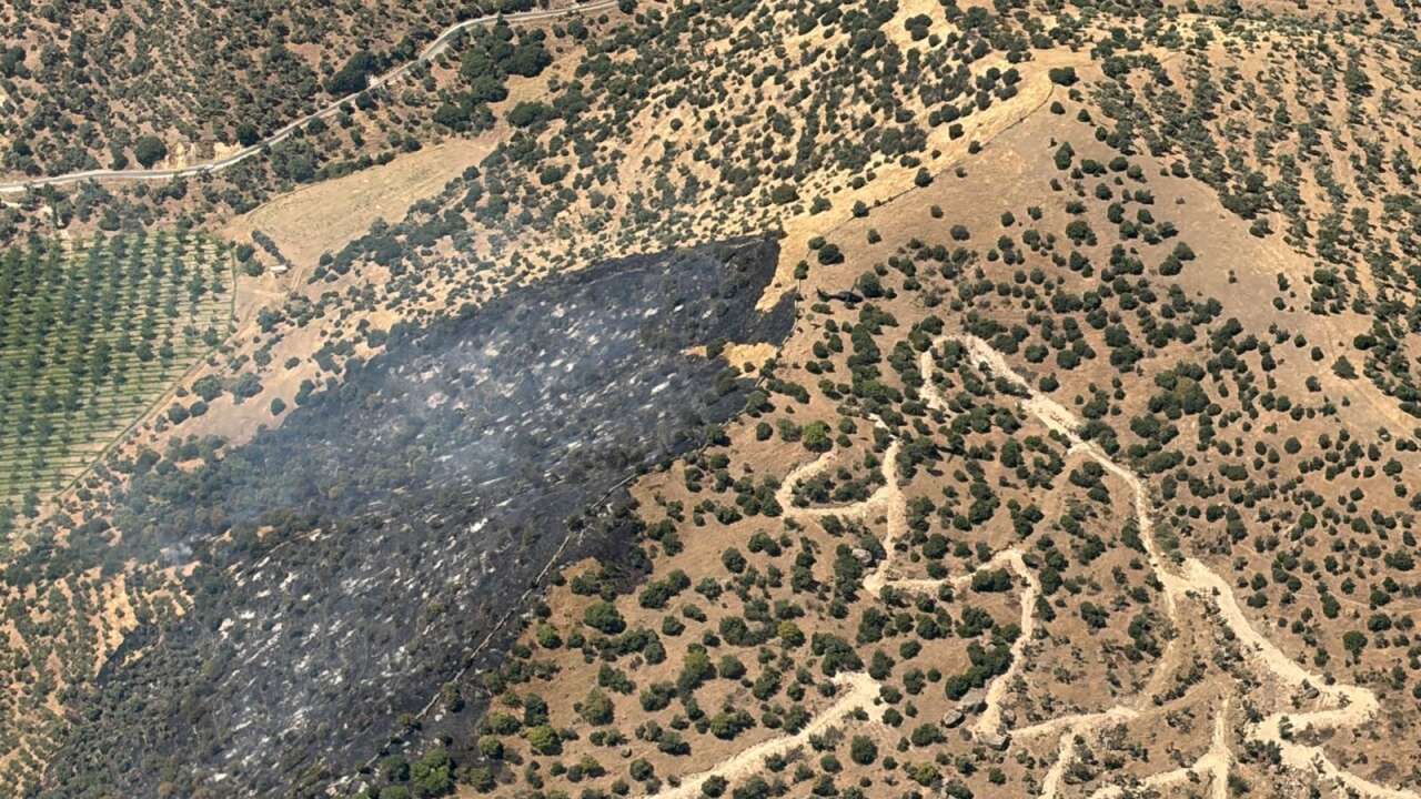 Aydın’daki Yangın Kontrol Altına Alındı: 2 Hektarlık Alan Zarar Gördü
