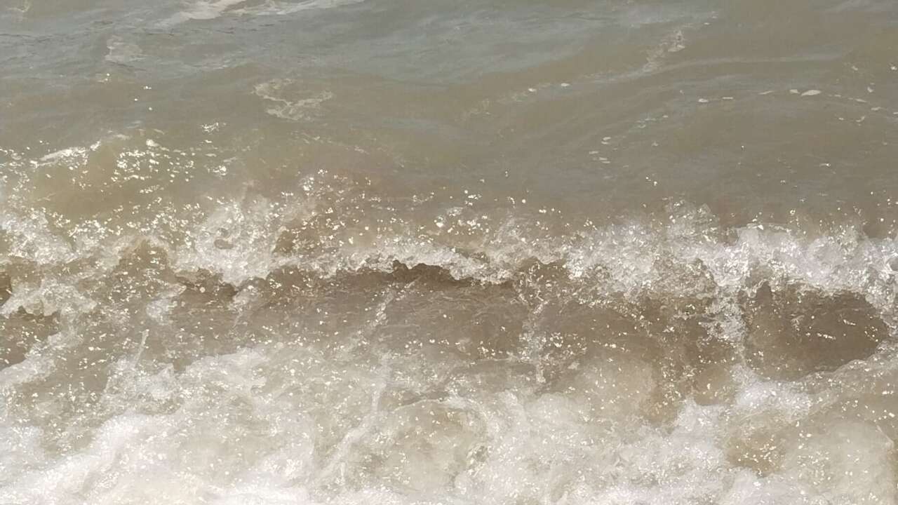Bodrum'da Deniz Kirliliği: "Başsavcılık Soruşturma Başlattı"