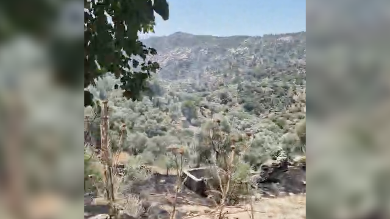 Muğla'da Bahçe Temizliği Yangına Neden Oldu