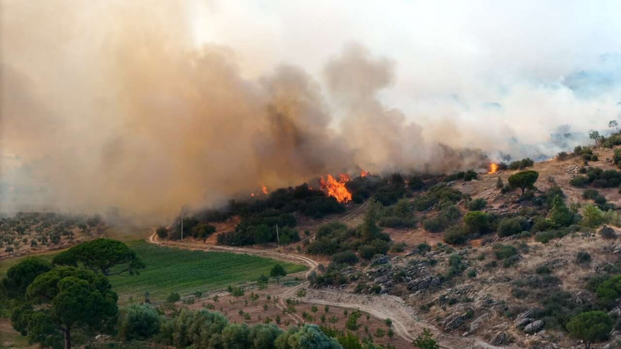 Muğla'nın 3 İlçesinde Alevlerle Mücadele Sürüyor