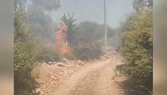 Marmaris’te Yol Kenarında Çıkan Yangın Vatandaşların Müdahalesiyle Büyümeden Söndürüldü