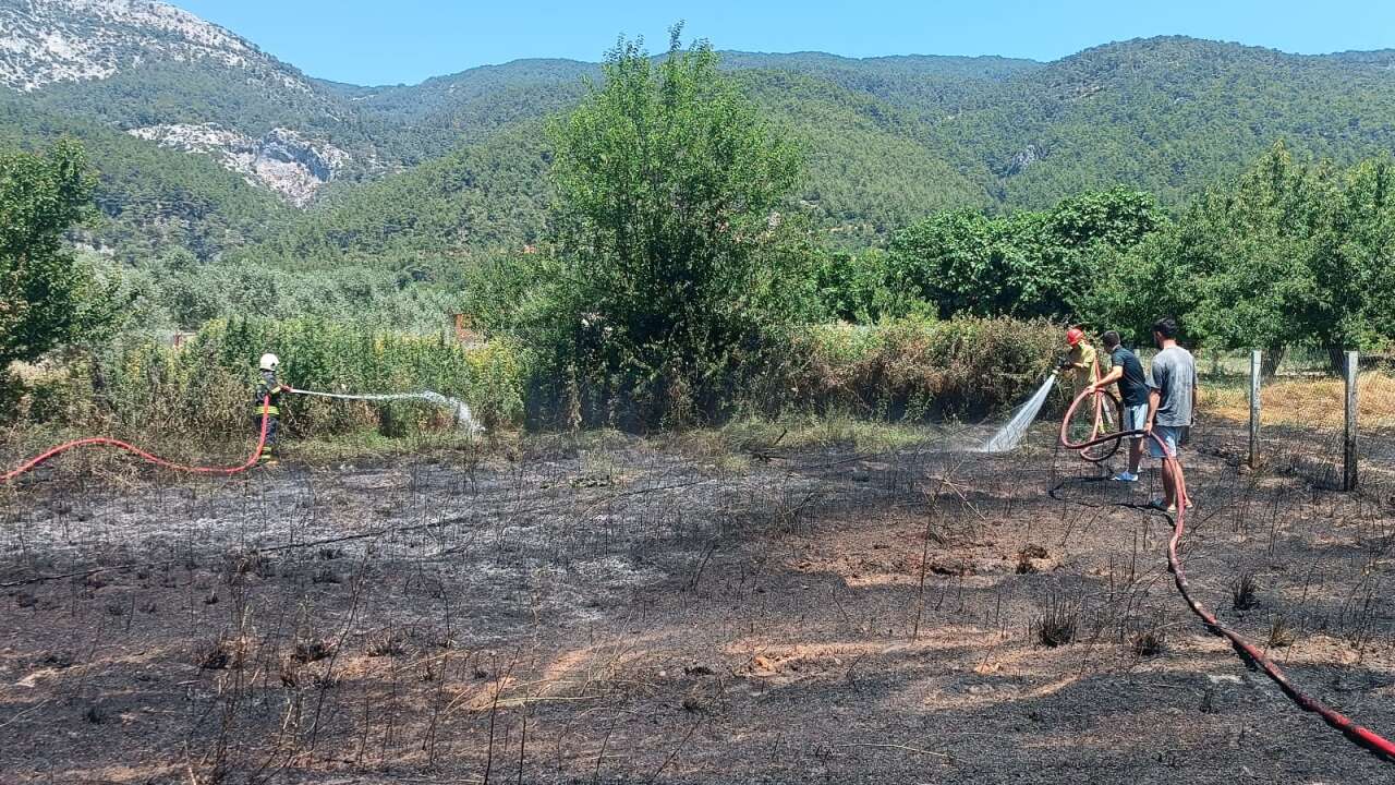 Menteşe Yaraş Mahallesi'nde Arazi Yangını