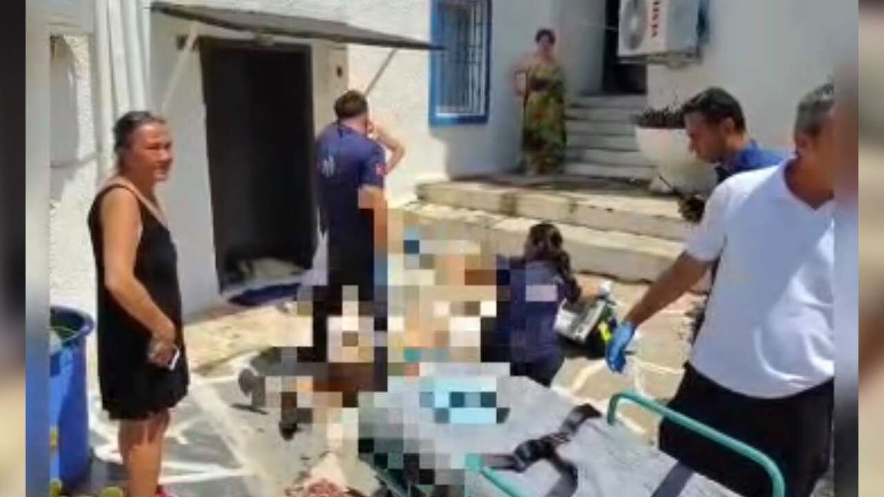 Bodrum'da Yürek Yakan Ölüm: Ekmek Almaya Çıktı, Kapısında Can Verdi, Köpeği Başından Ayrılmadı