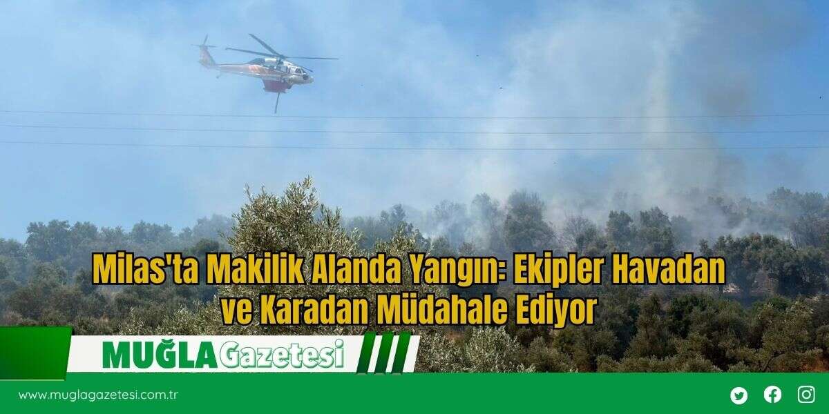 Milas'ta Makilik Alanda Yangın: Ekipler Havadan ve Karadan Müdahale Ediyor