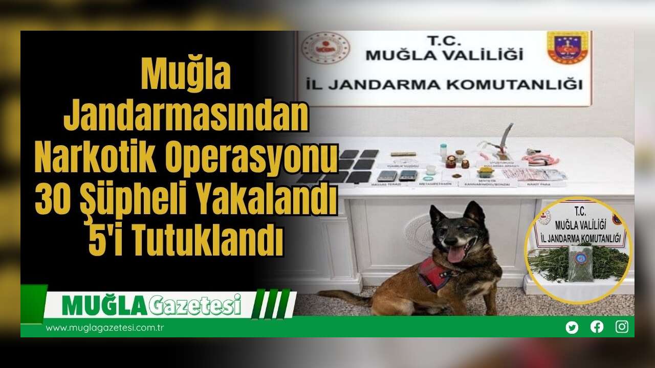 Muğla Jandarmasından Narkotik Operasyonu: 30 Şüpheli Yakalandı, 5'i Tutuklandı