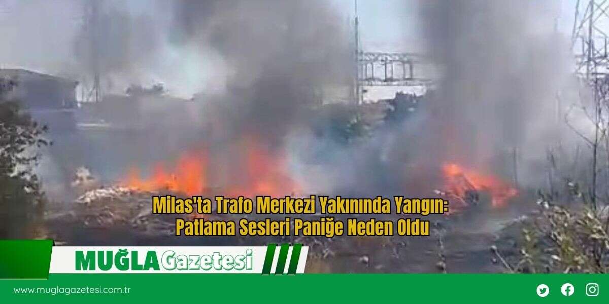 Milas'ta Trafo Merkezi Yakınında Yangın: Patlama Sesleri Paniğe Neden Oldu