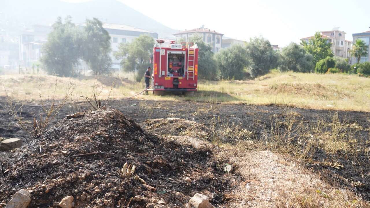 Milas'ta Boş Arsada Yangın: Milas Belediyesi'nden Bakımsız Arsalar İçin Acil Önlem Çağrısı