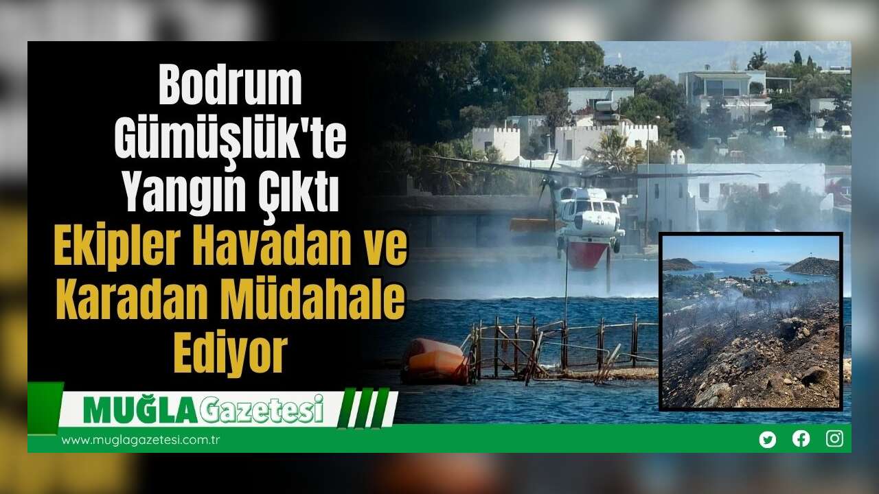 Bodrum Gümüşlük'te Yangın Çıktı: Ekipler Havadan ve Karadan Müdahale Ediyor