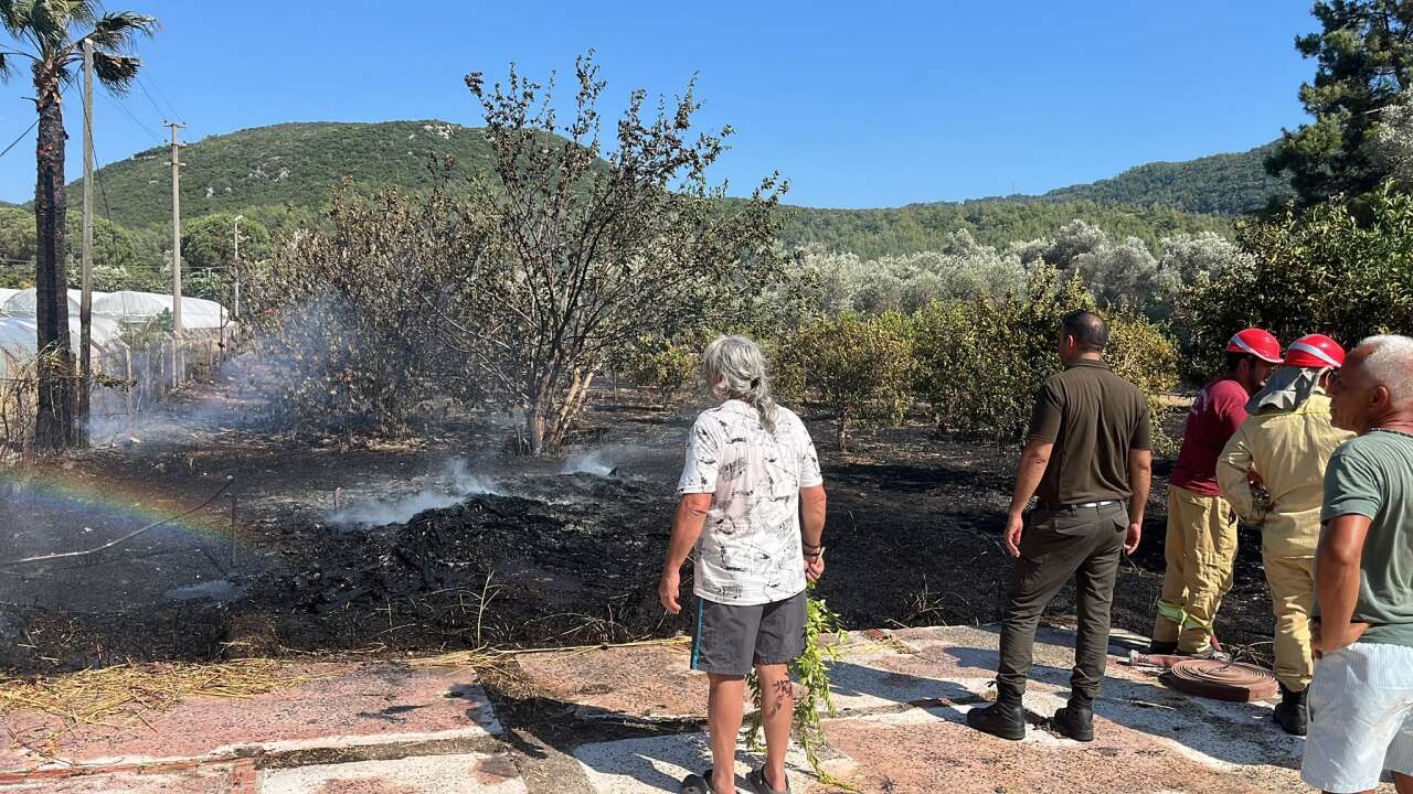 Marmaris'te Zirai Alan Yangını: 7 Dönüm Zarar Gördü