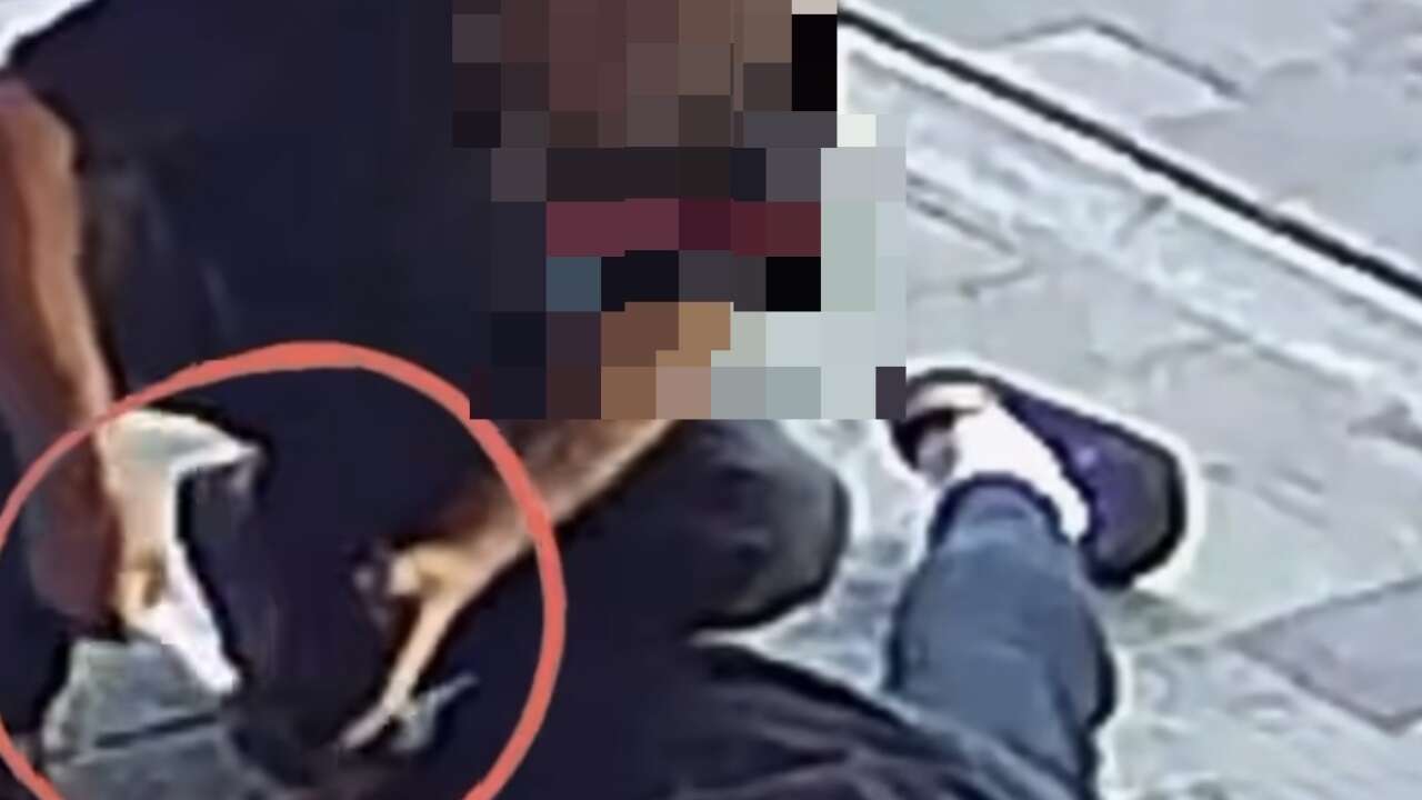 Muğla’da Fenalaşıp Kalbi Duran Gencin Parasını Çalan Şüpheli Tutuklandı