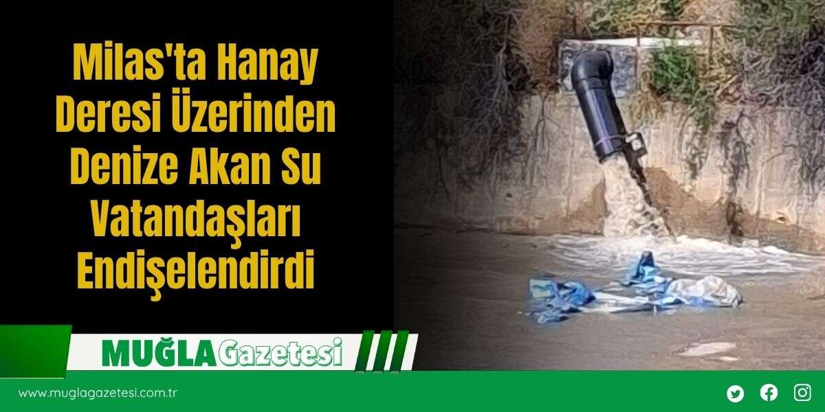 Milas'ta Hanay Deresi Üzerinden Denize Akan Su Vatandaşları Endişelendirdi