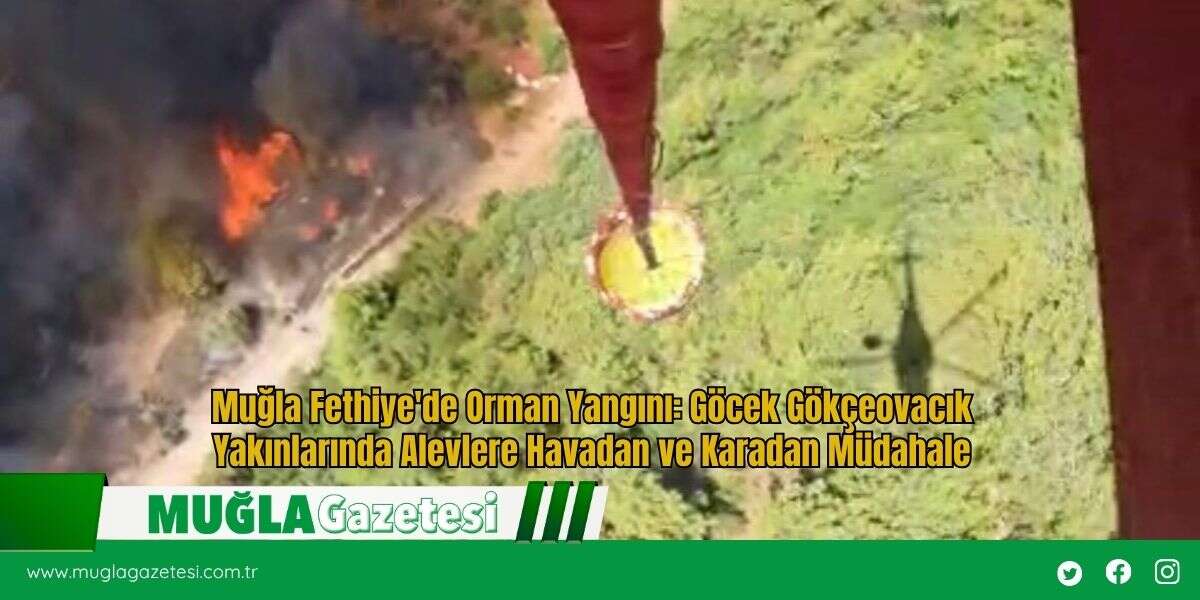 Muğla Fethiye'de Orman Yangını: Göcek Gökçeovacık Yakınlarında Alevlere Havadan ve Karadan Müdahale