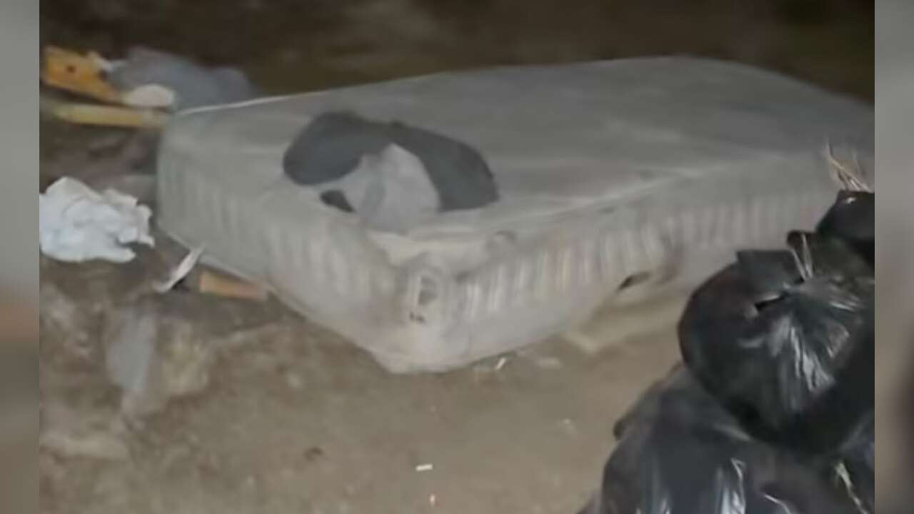 Muğla’da Şüpheli Yangında Sabotaj İddiası: Polis Harekete Geçti